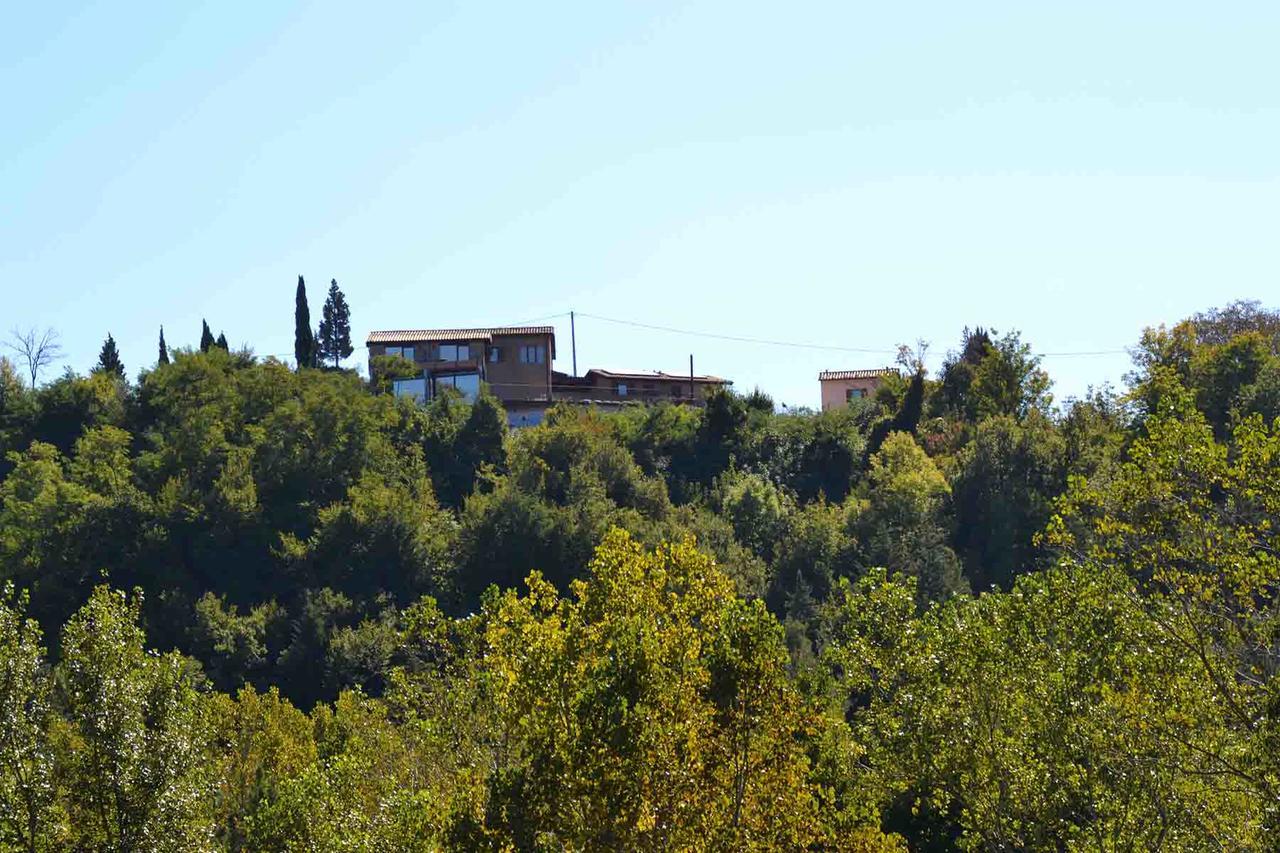 Colleverde Country House & Spa Ουρμπίνο Εξωτερικό φωτογραφία